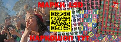 эйфоретик Камышлов